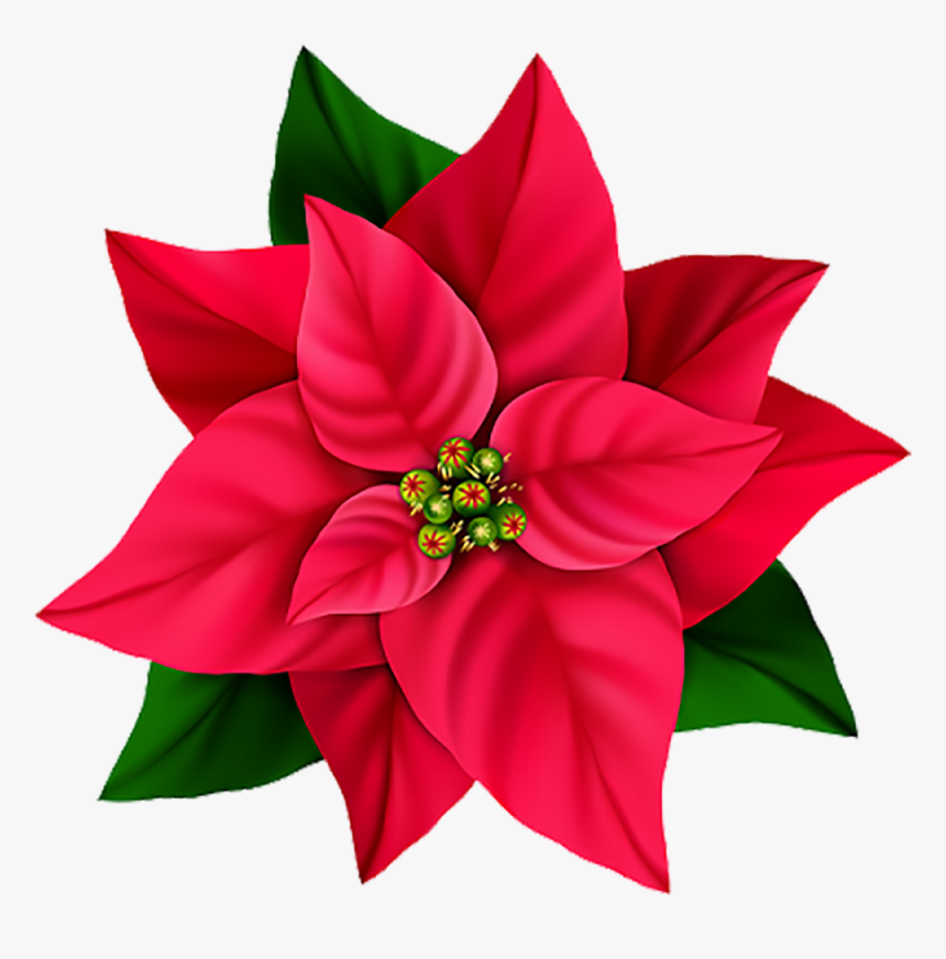 Red Png Flowers, Transparent Png