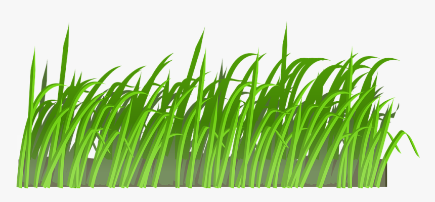 Grass, Lawn, Green, Nature, Spring, Meadow, Summer - Cartoon Lawn, HD Png Download