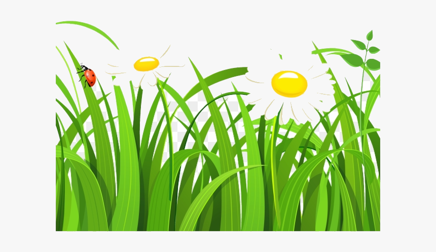 Grass Free Clipart Vector Transparent Png - Grass Clipart Png, Png Download