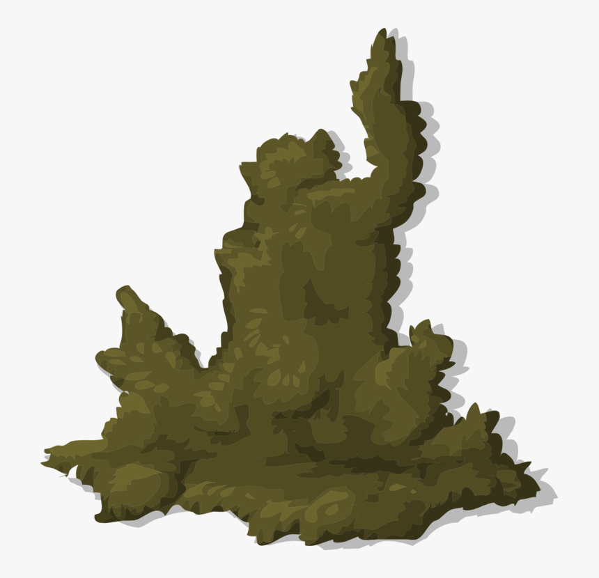 Tree,plant,grass, HD Png Download