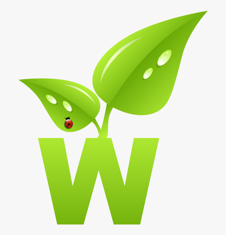 Letters Vector Grass - Graphic Design, HD Png Download