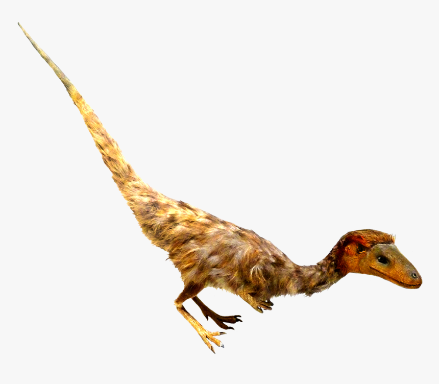 Psinosauropteryx Feathered Dino Clipart - Real Dinosaur Transparent Clipart, HD Png Download