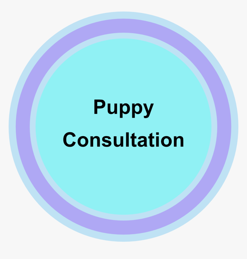 Puppy-consultation - Consultation Room, HD Png Download