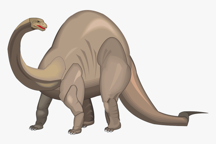 Transparent Dinosaur Bones Png - Brontosaurus Clipart, Png Download