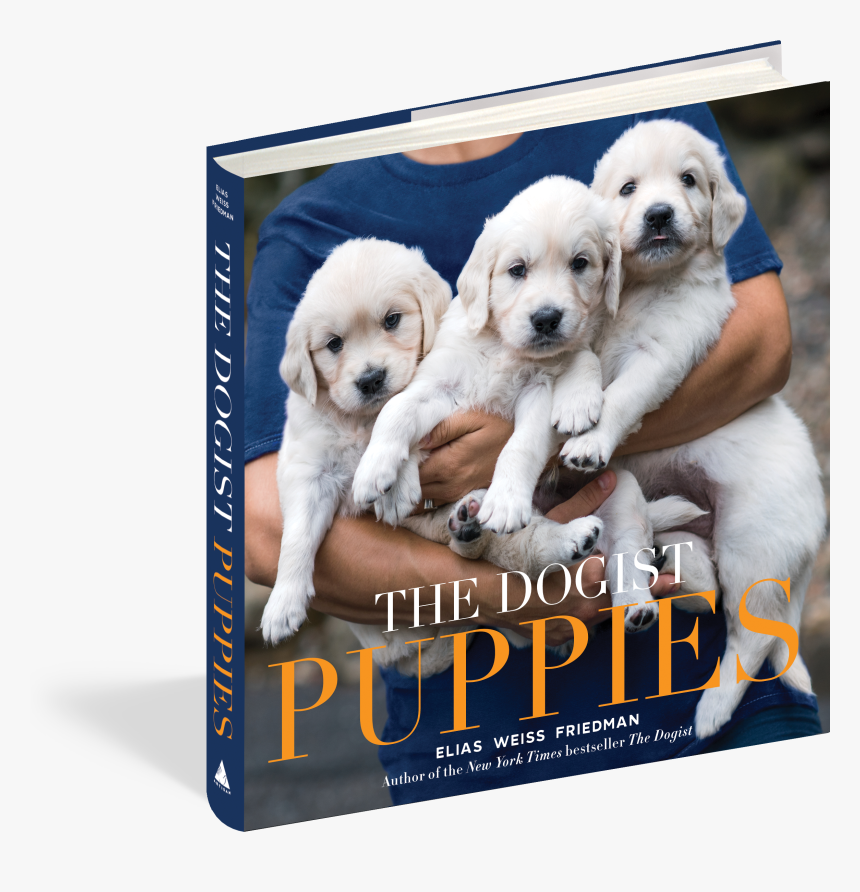 Cover - Dogist Puppies, HD Png Download