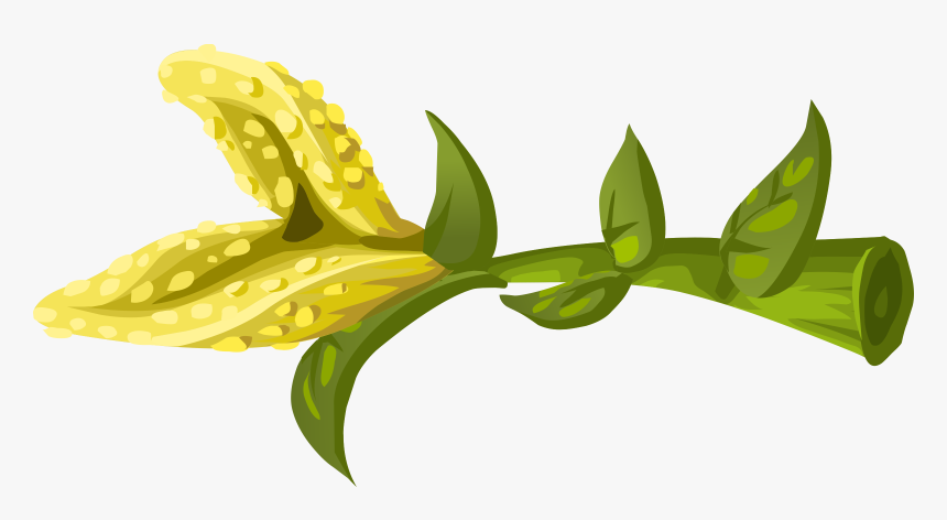 Herbs Yellow Crumb Flower Clip Arts - Portable Network Graphics, HD Png Download
