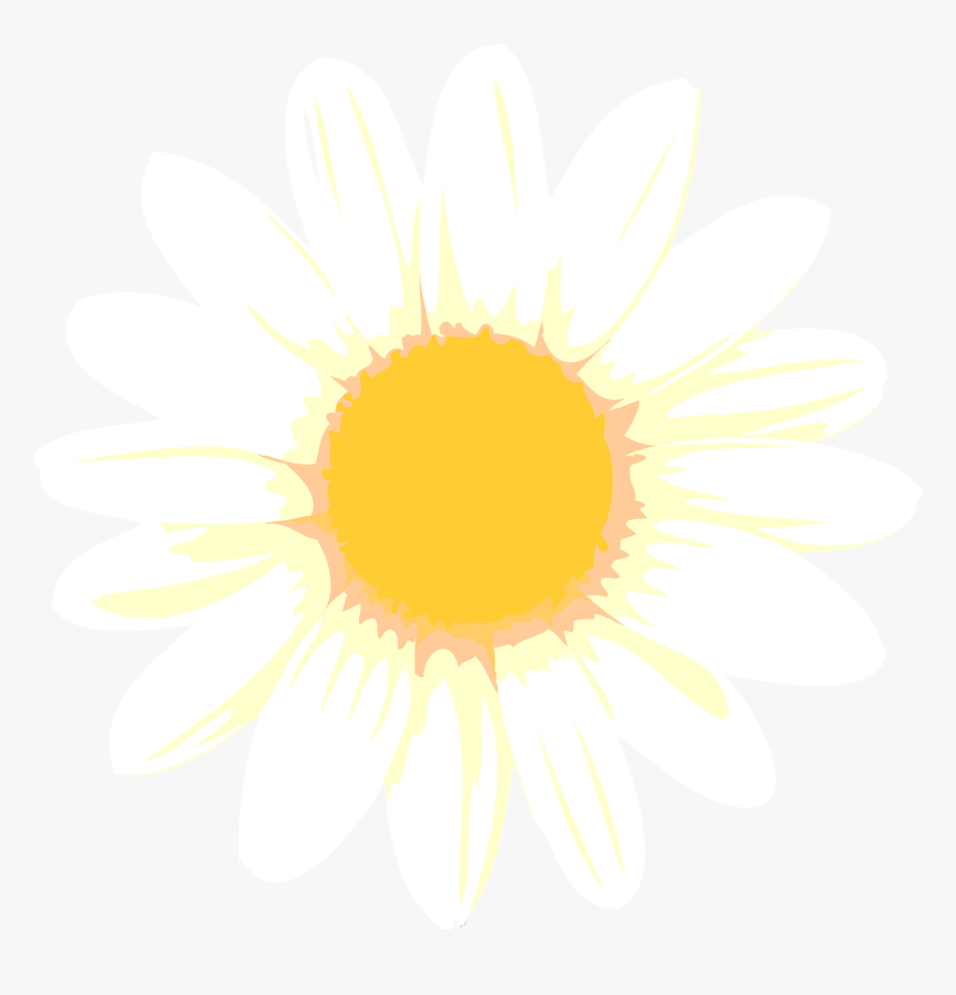 Whole World Window, HD Png Download