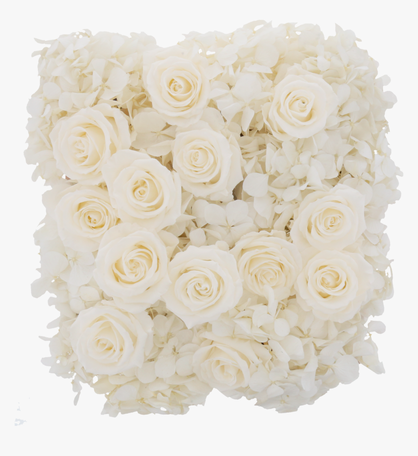 Hydrangea Rose Box - Garden Roses, HD Png Download