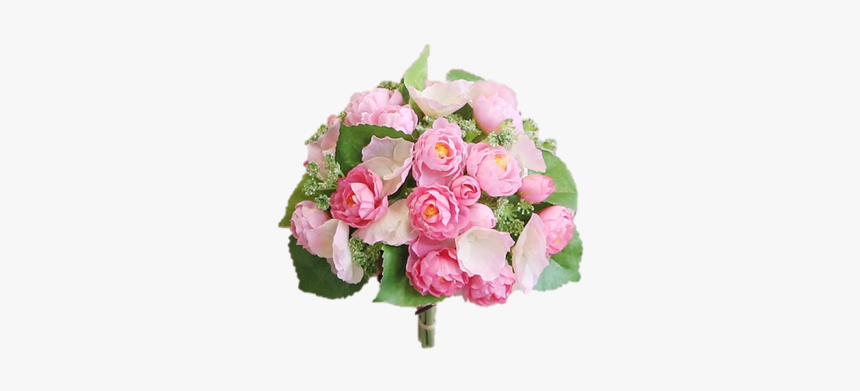 Floribunda, HD Png Download