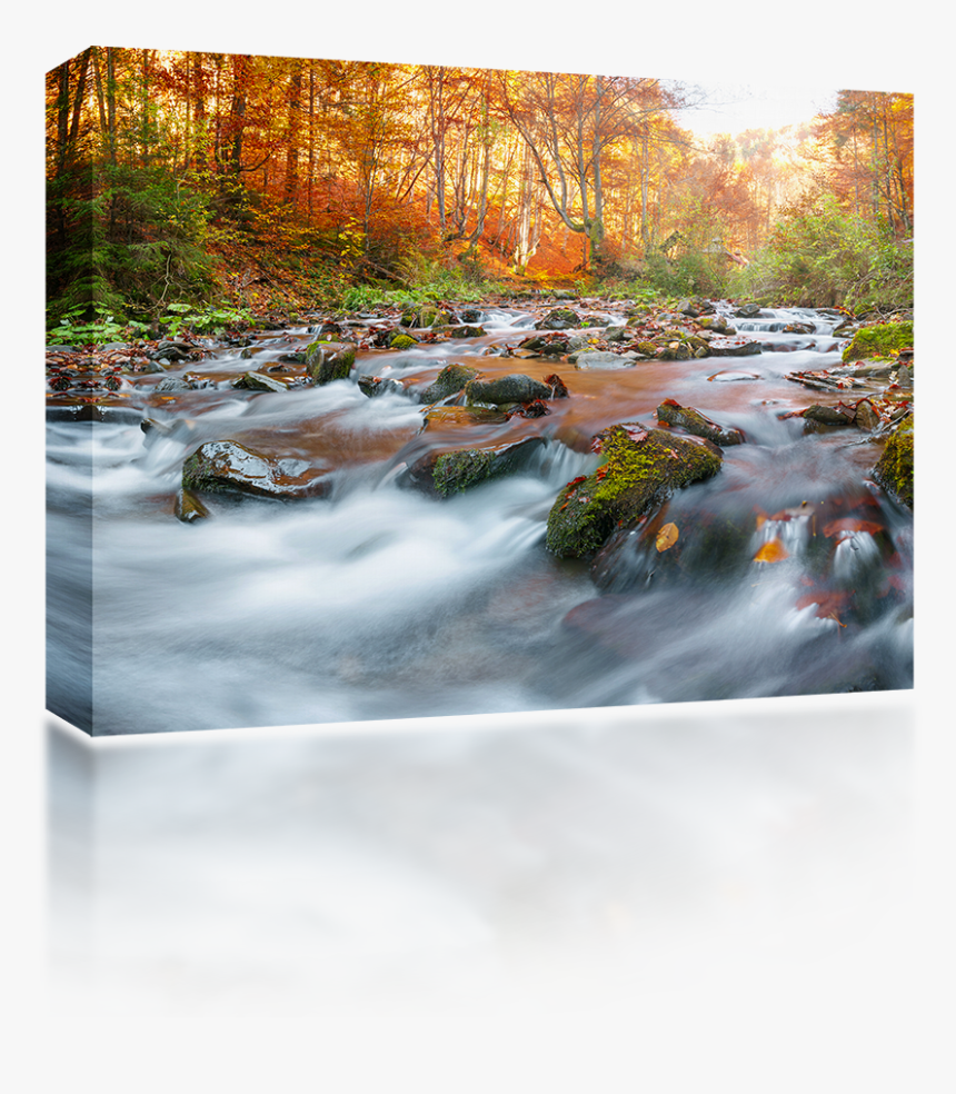 Transparent Water Stream Png - Ruscelli In Autunno, Png Download