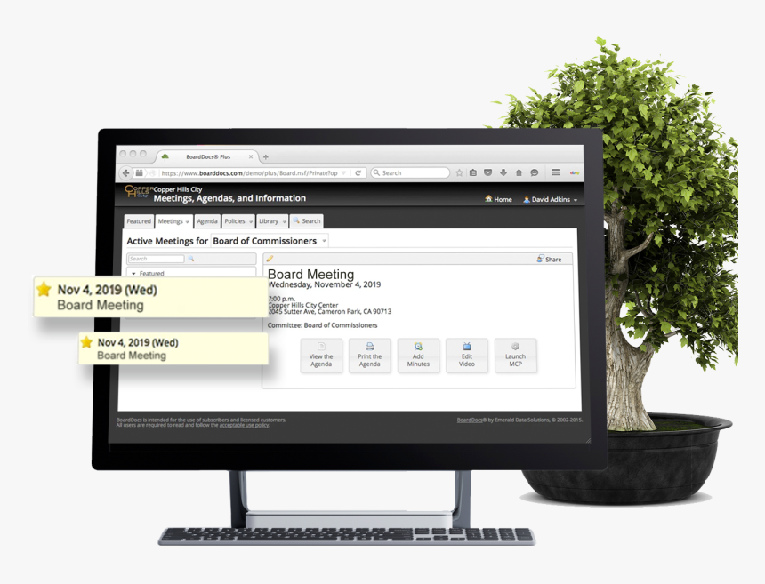 Bonsai, HD Png Download