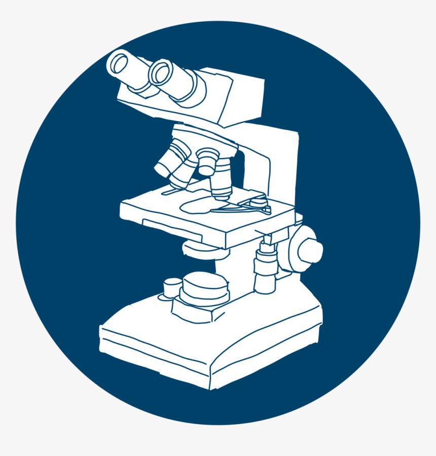 Scientist - Stairs, HD Png Download