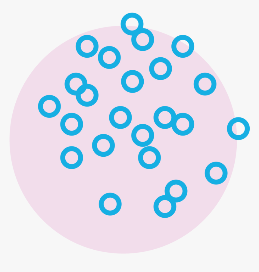 Circle, HD Png Download