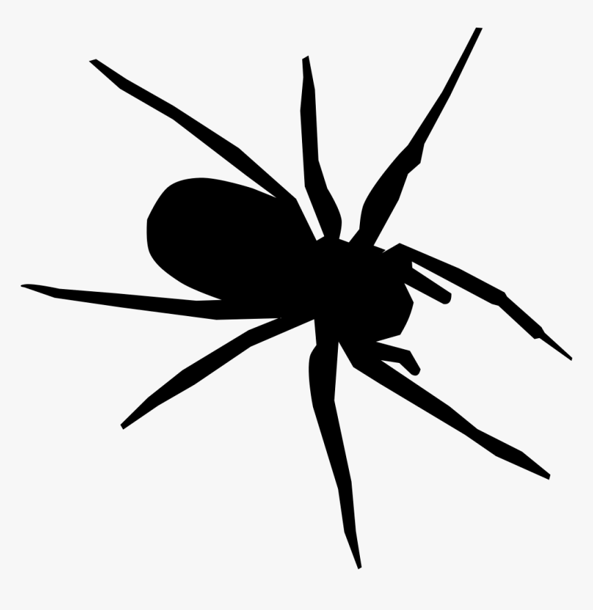 Tangle Web Spider Drawing Computer Icons Encapsulated - Black And White Spider Drawing, HD Png Download