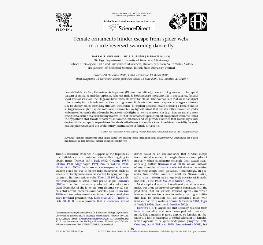 Document, HD Png Download