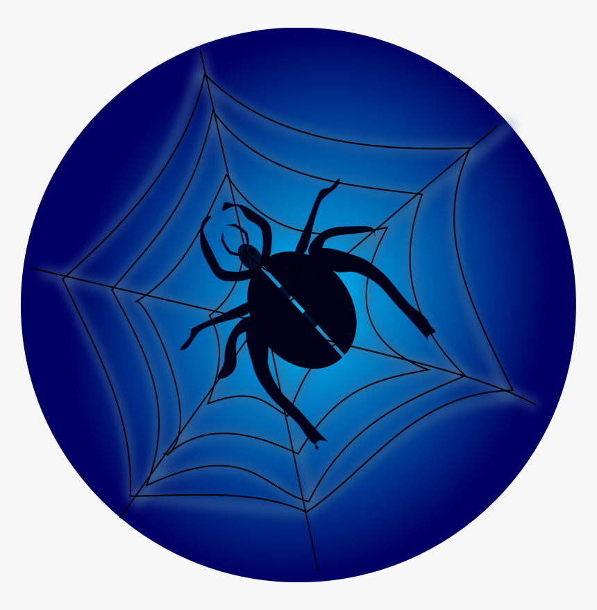 Spider On Web - Spider, HD Png Download