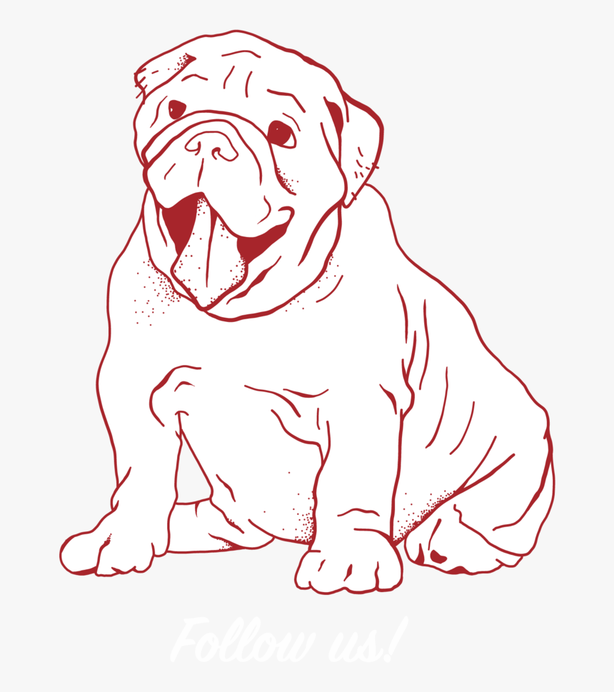 White Dog - Dog Yawns, HD Png Download