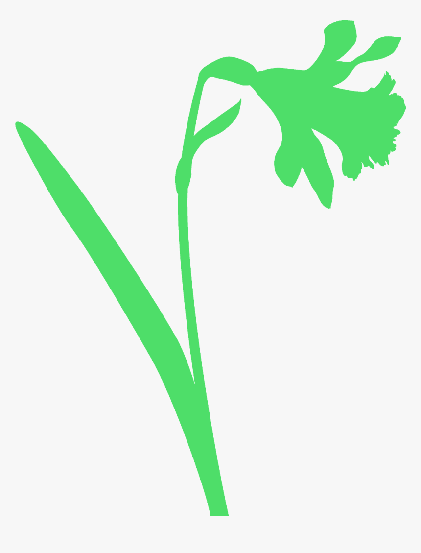 Pink Daffodil Clipart, HD Png Download