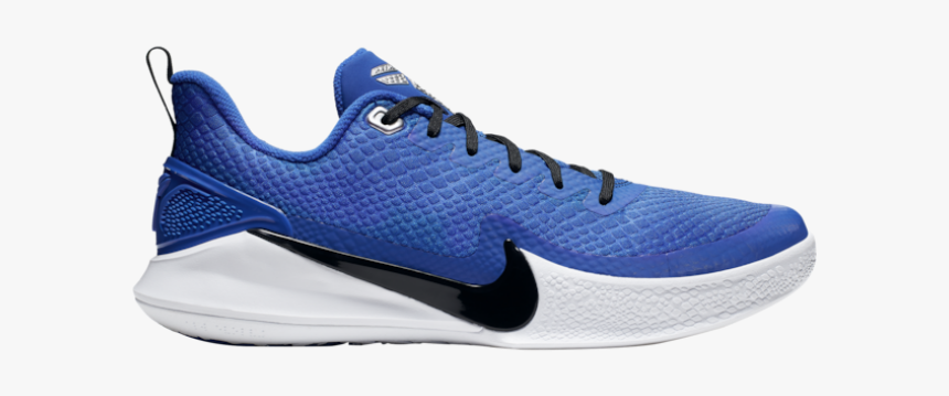 mamba focus royal blue