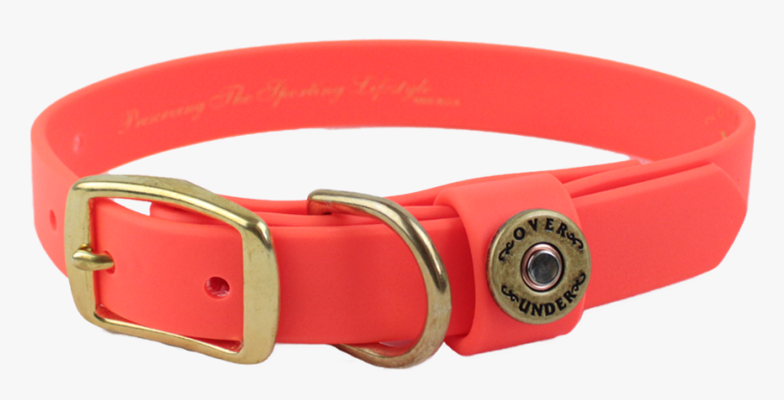 Water Dog Collar Blaze Orange - Buckle, HD Png Download