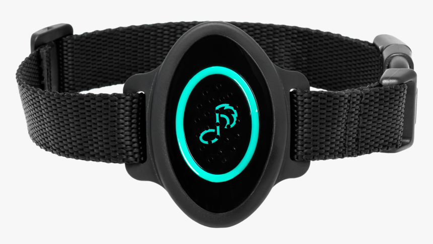 Analog Watch, HD Png Download