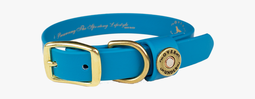 Water Dog Collar Aqua Blue - Belt, HD Png Download