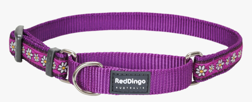 Martingale Daisy Chain Dog Collar - Dog Chain Collar Png, Transparent Png
