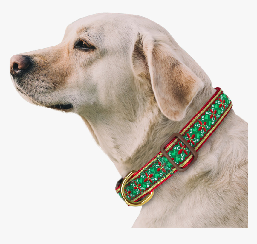 Morocco Flower Dog Collar With Bow Tie & Keychain Included - Dog With Seresto, HD Png Download