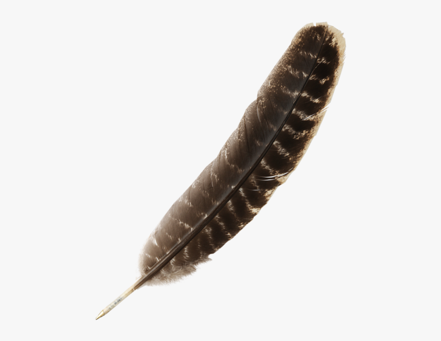 Harry Potter Quill Png, Transparent Png