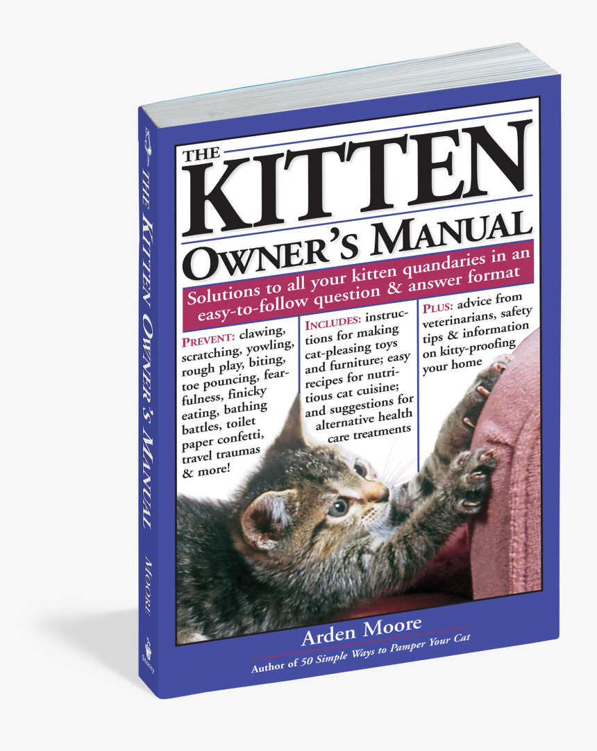 Cover - Domestic Short-haired Cat, HD Png Download
