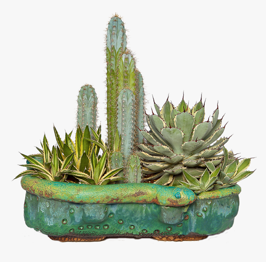 Custom Specialty Pottery And Vases For Cactus And Succulents - Rick Van Dyke Pottery, HD Png Download