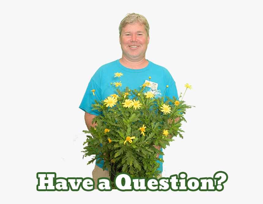 Kingwood Garden Center Expert - Warren's Southern Gardens, HD Png Download