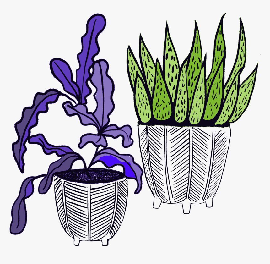 Succulents Brewery Clipart , Png Download, Transparent Png