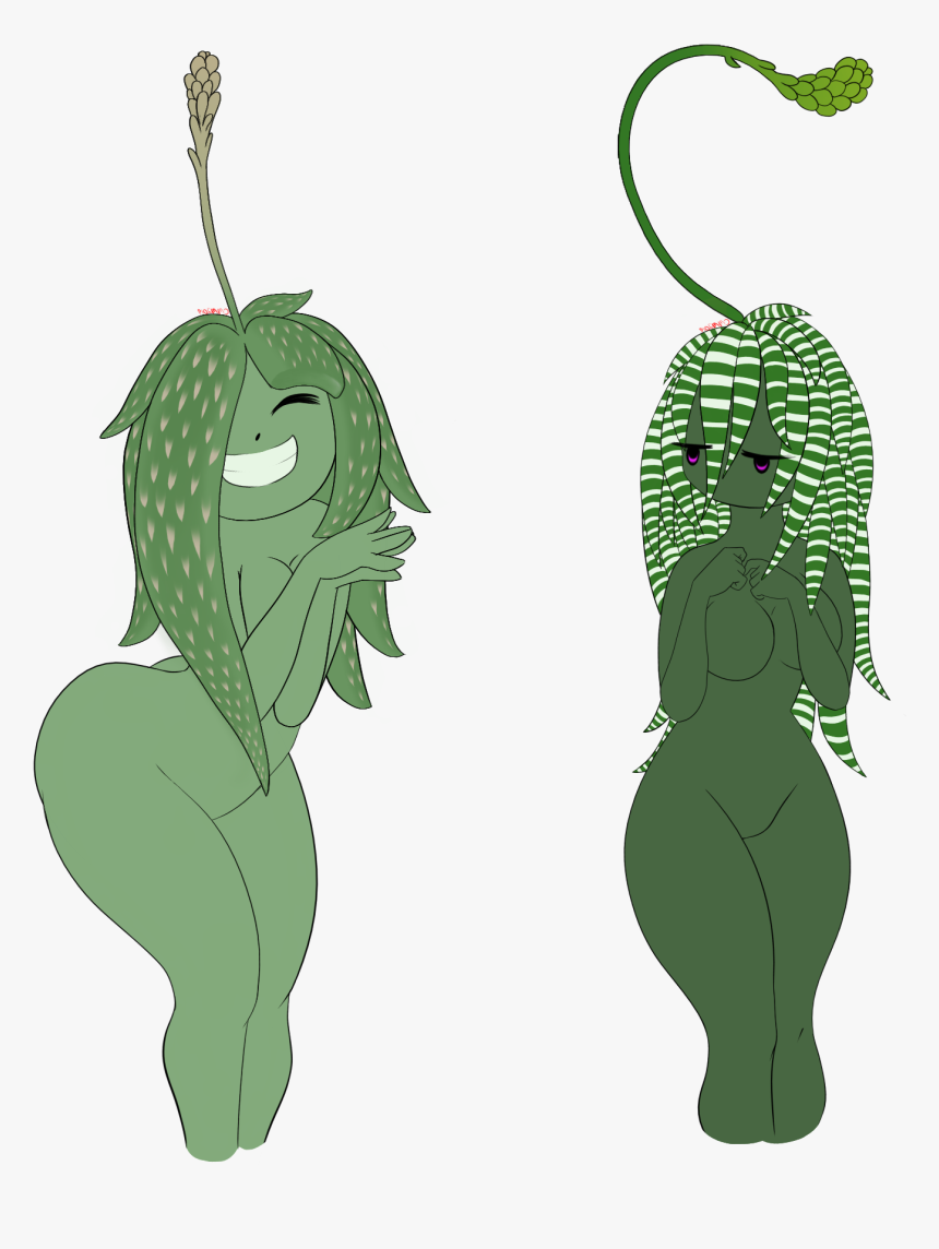 Succulents - Illustration, HD Png Download