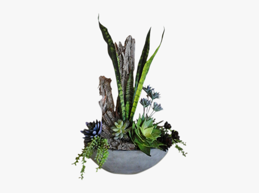 Ikebana, HD Png Download