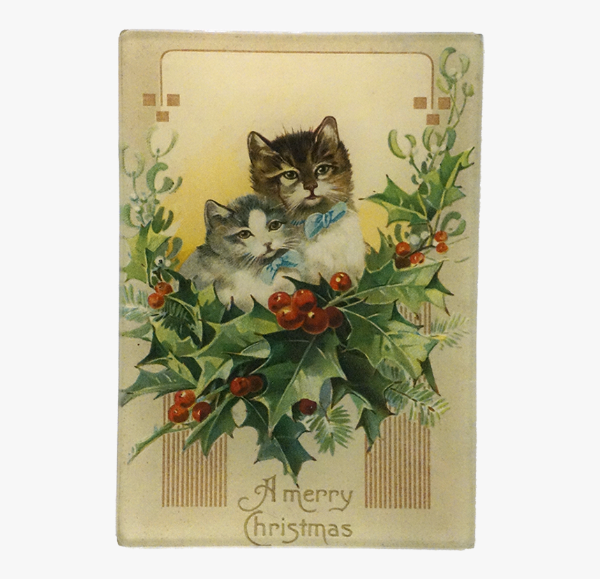 Kitten, HD Png Download