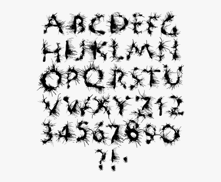 Dandelion, HD Png Download