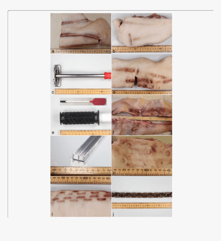 The Patterns Of Bruises On Pig Skin And Objects Clearly - Andouillette, HD Png Download