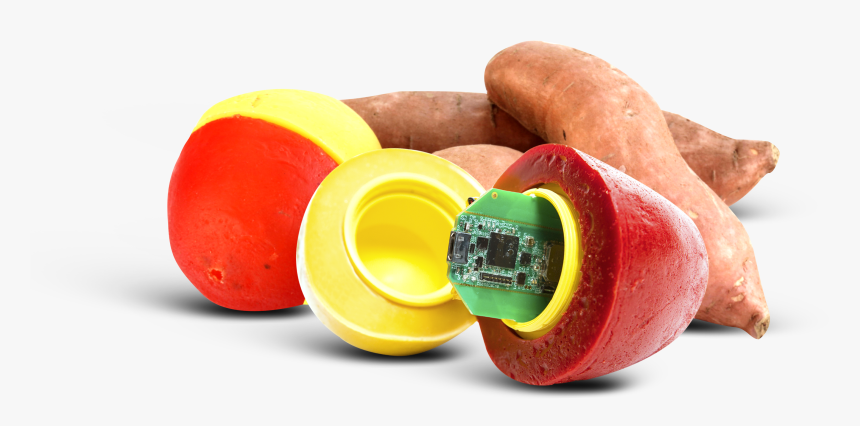 Baby Toys, HD Png Download