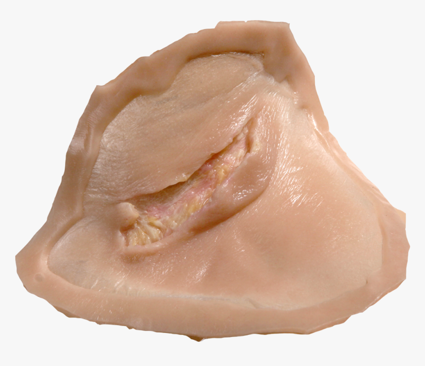 Drawing Scars Bruise - Turkey Meat, HD Png Download