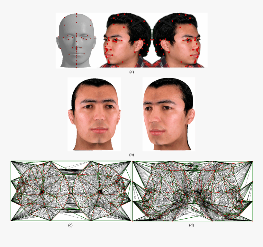 A Hairless Head Model With The Texture Image - Male, HD Png Download