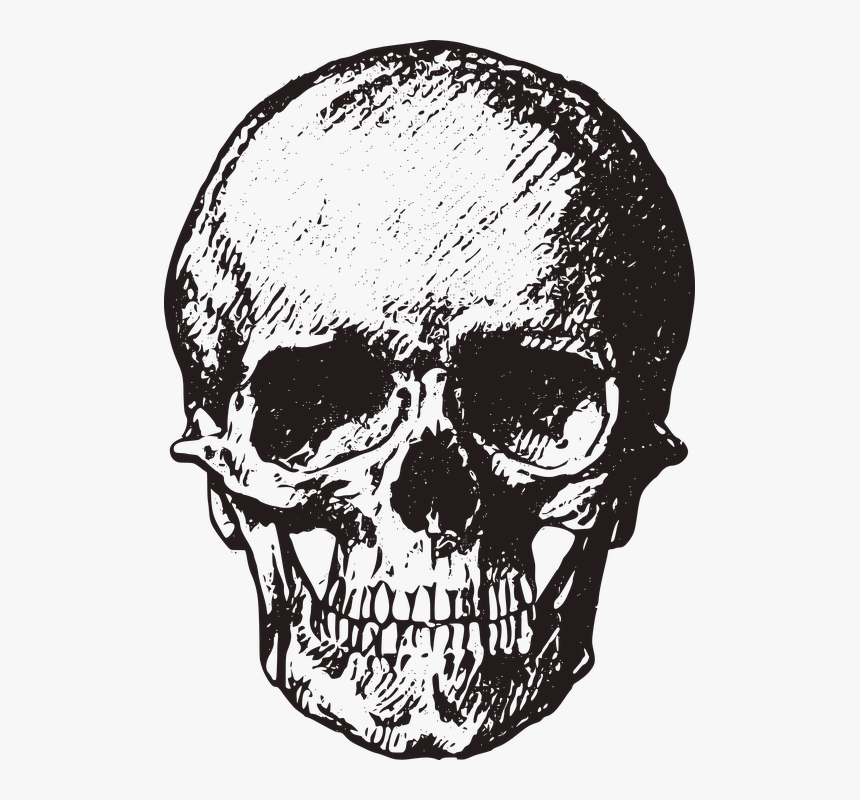 Free Image On - Vintage Skull Png, Transparent Png