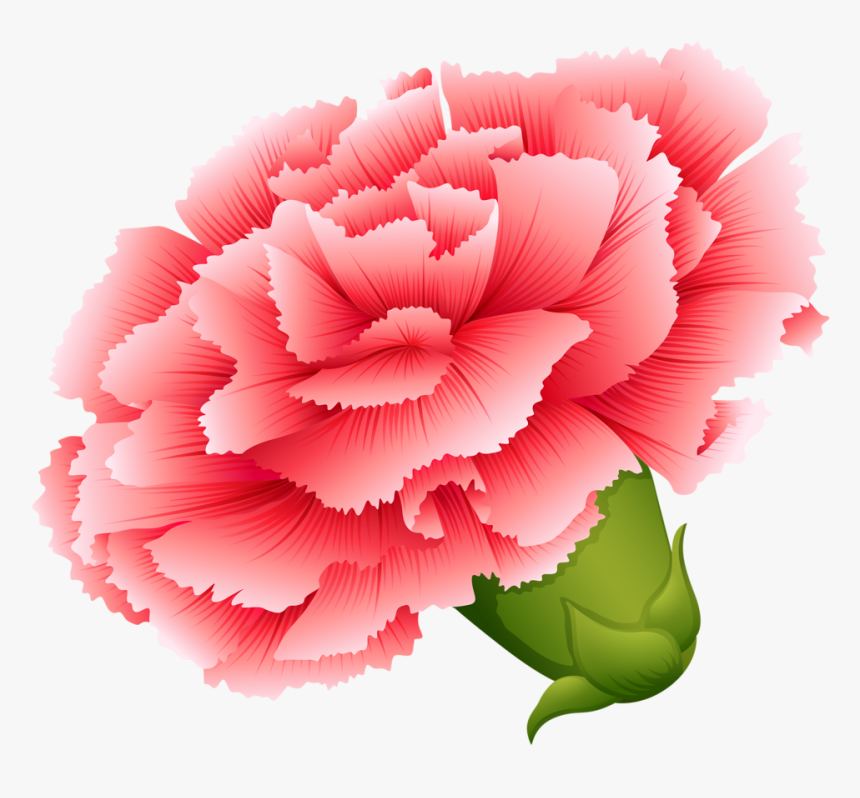 Vector Transparent Download Png Button Flowers And - Draw Different Type Of Flowers, Png Download
