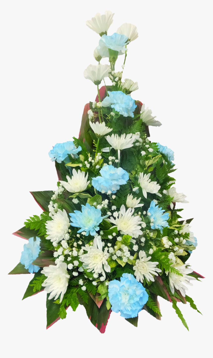 Carnation Png, Transparent Png