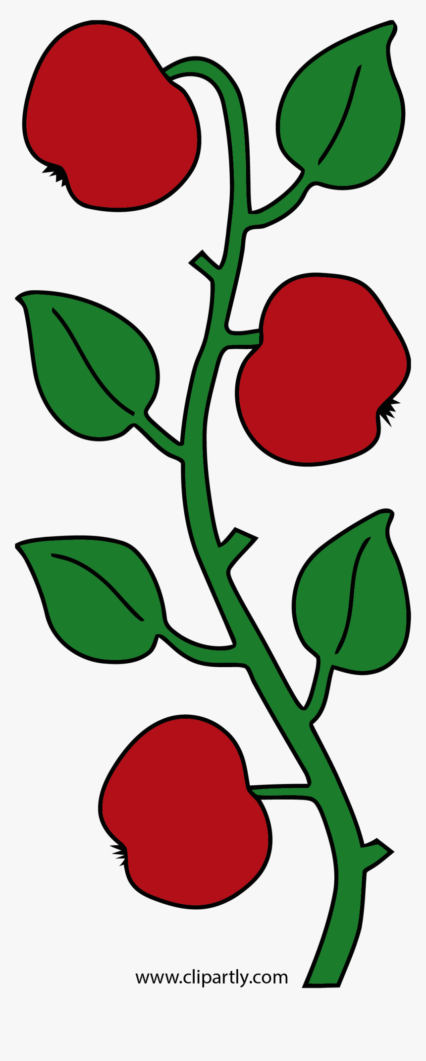 Apple Green Leaf Clipart Png - Apple Tree Branch Clipart, Transparent Png