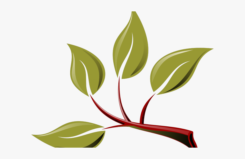 Branch With Leaves Clipart, HD Png Download