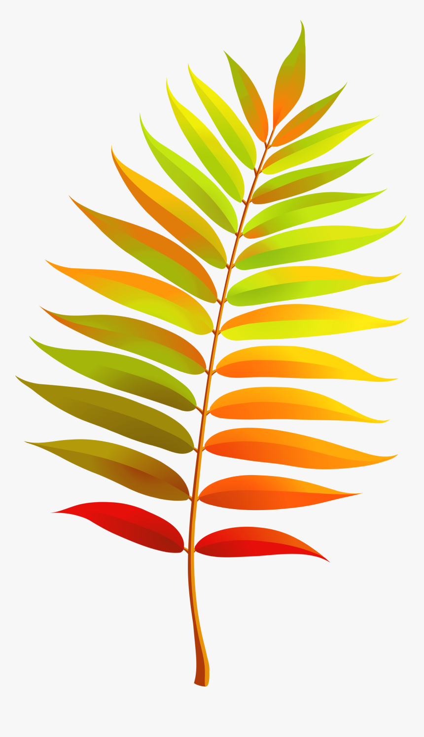 Colorful Transparent Fall Leaf Clipart - Fall Leaf Clipart Transparent, HD Png Download