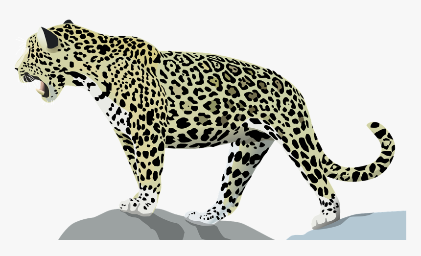 Jaguar, Animal, Cat, Wild, Jungle, Mammal, Feline - Transparent Jaguar Clip Art, HD Png Download