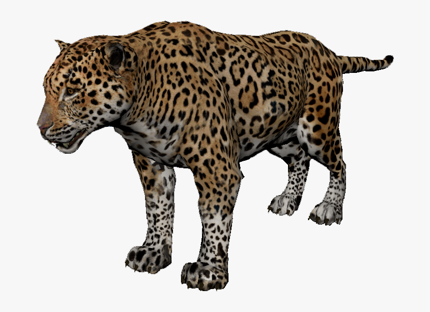 Jaguar - Green Hell Jaguar, HD Png Download