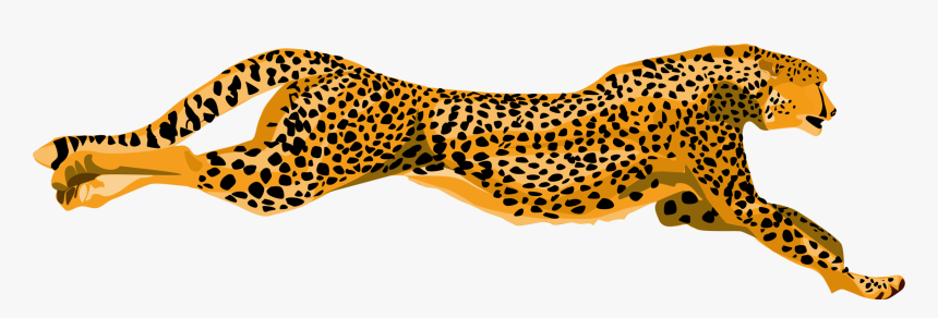 Wildlife,small To Medium Sized Cats,jaguar - Cheetahs Clipart, HD Png Download